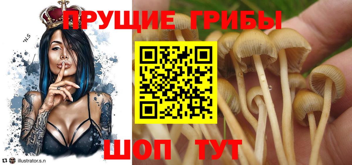 Псилоцибиновые грибы Magic Shrooms Элиста