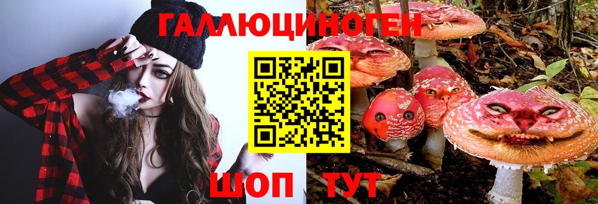 Элиста  Галлюциногенные грибы мухоморы  Вход с VPN 